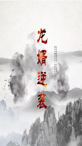 龙婿逆袭(全集)